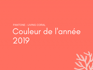 Découvrez la couleur de l'année 2019 Pantone !